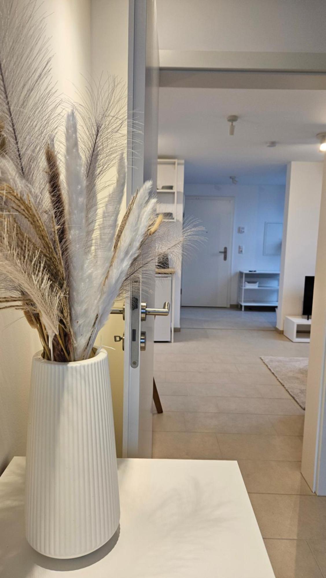 Ferienwohnung As5 Two Bamberg - Zentrale Lage Mit Parkplatz Hallstadt Bagian luar foto